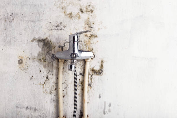 Best Residential Mold Remediation in Briar, TX